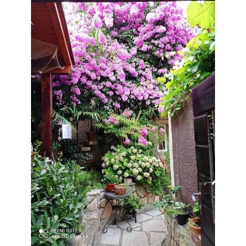 Apartman i Sobe Čule Cres