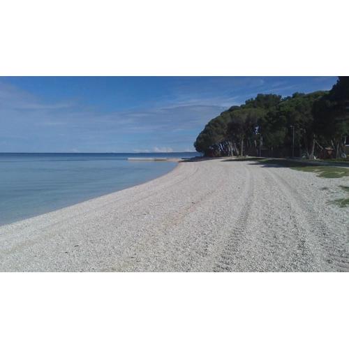 Apartman Karlo