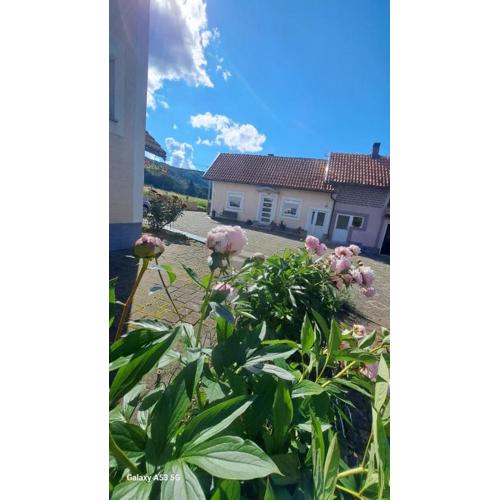 Apartman Kristina