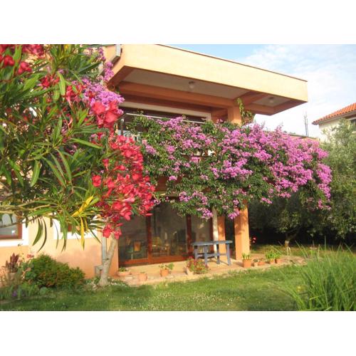 Apartman Lavanda