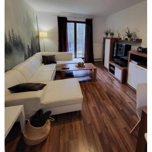 Apartmán Lipno 50