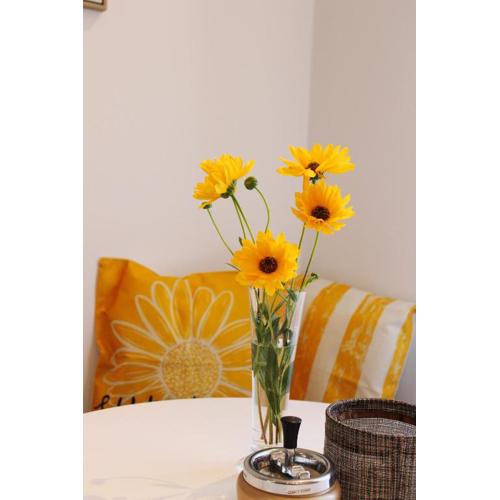 Apartman Luce