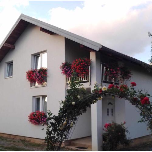 Apartman Lukić