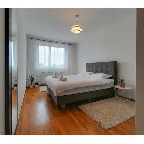 Apartman Lumi Arena