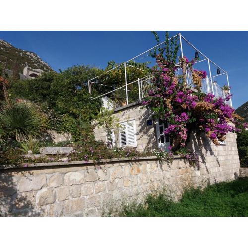 Apartman Matić