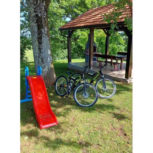 Apartman Medved