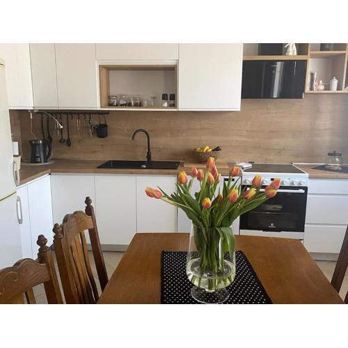 Apartman Milka