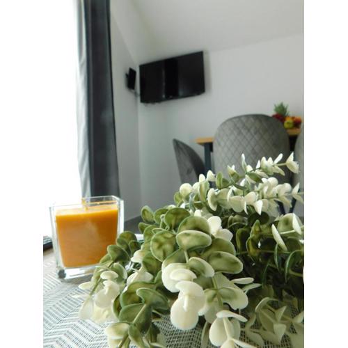 Apartman Nativis