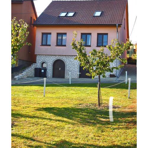 Apartmán Nesyt