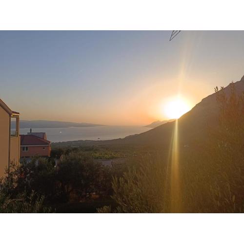 Apartman Oli