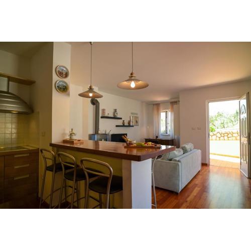 Apartman Oliva