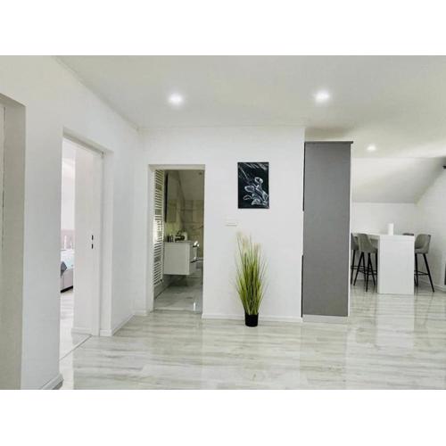Apartman Pavenka