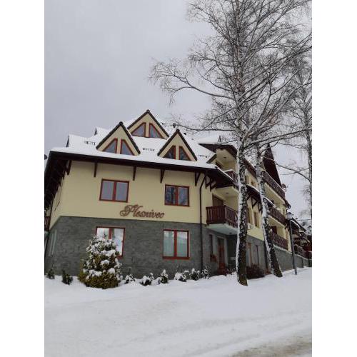 Apartmán Plesnivec