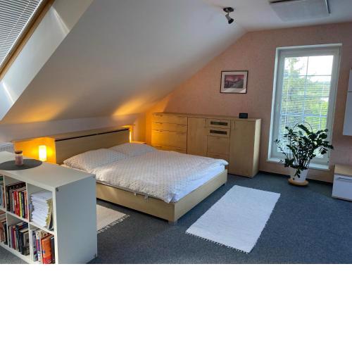 Apartmán pod lesom