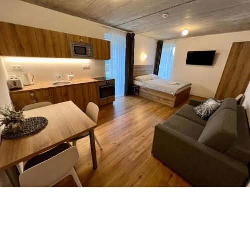 Apartmán pod sjezdovkou