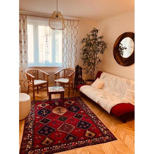 Apartman Pripotocni