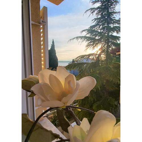 Apartman Rosi