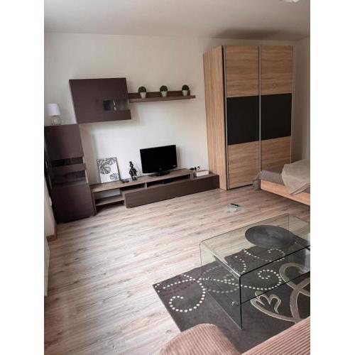 Apartman RUŽA7