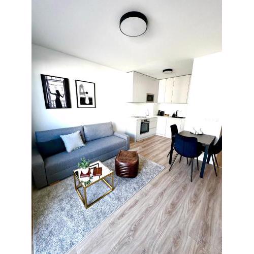 Apartmán s klimatizáciou a balkónom pri letisku BTS