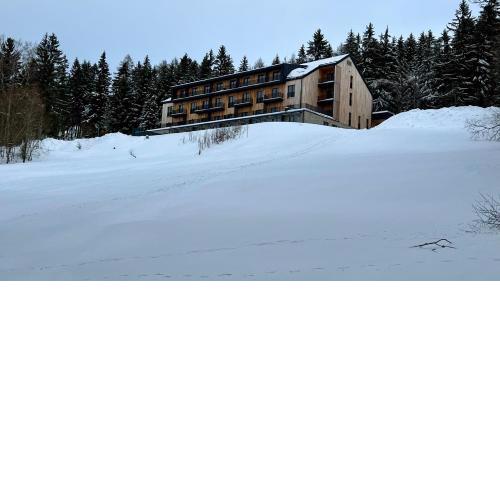 Apartmán s terasou Benecko