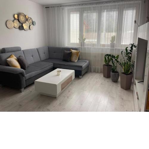 Apartmán s terasou, bezplatné parkovanie