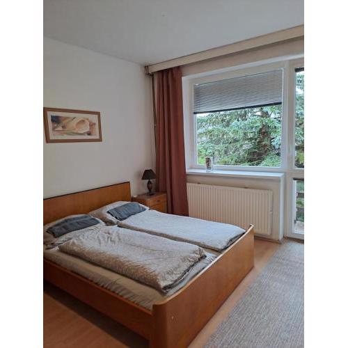 Apartmán s terasou