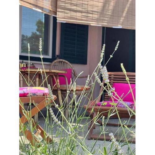 Apartman Sage, 2+1. Maslenica, Zadar