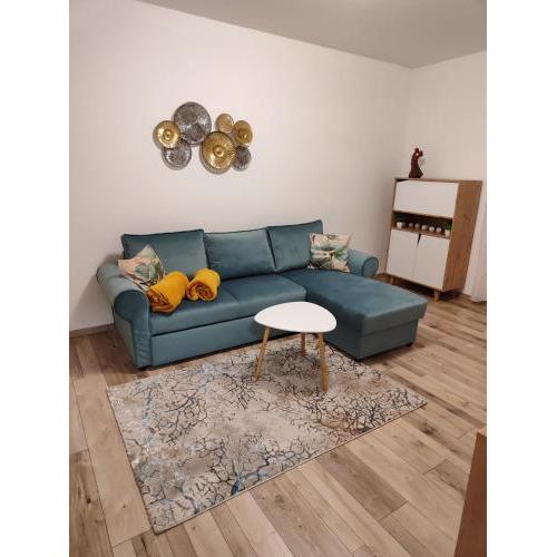 Apartman Shine