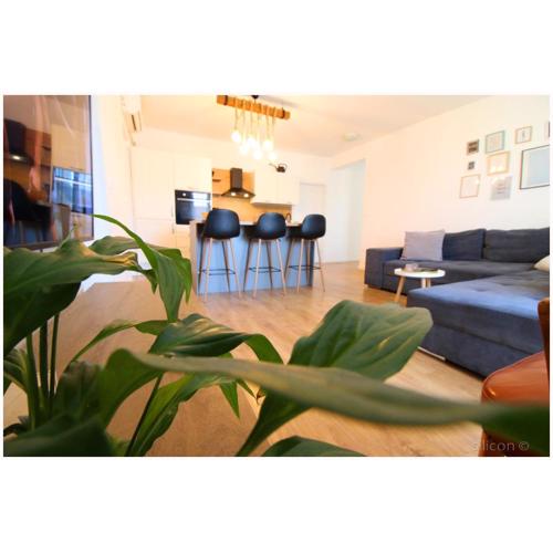 Apartman Silicon
