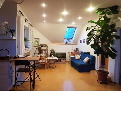 Apartmán Sluníčko