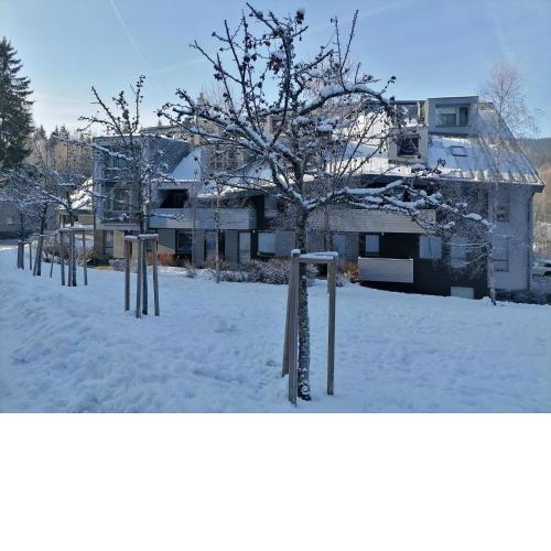 Apartman Sofie Harrachov