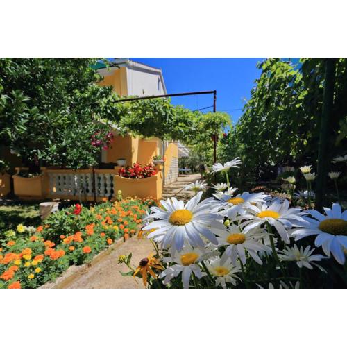 Apartman Sonja