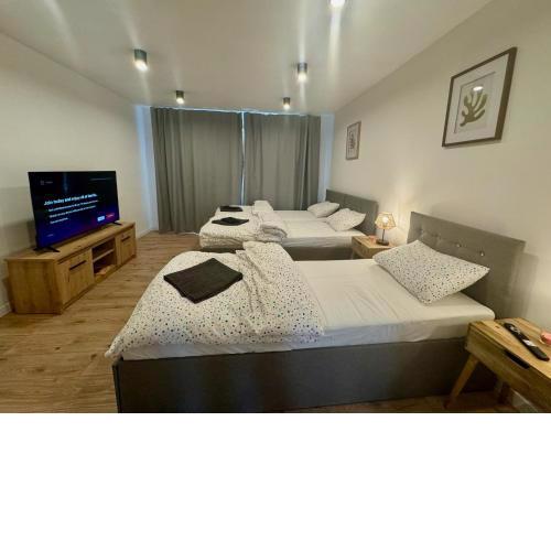 Apartmán Strážske s balkónom