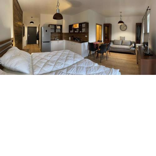 Apartmán Thermalpark Dunajská Streda