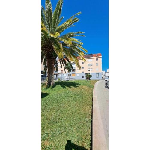 Apartman TINO