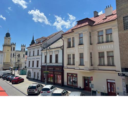 Apartman TRZNICA