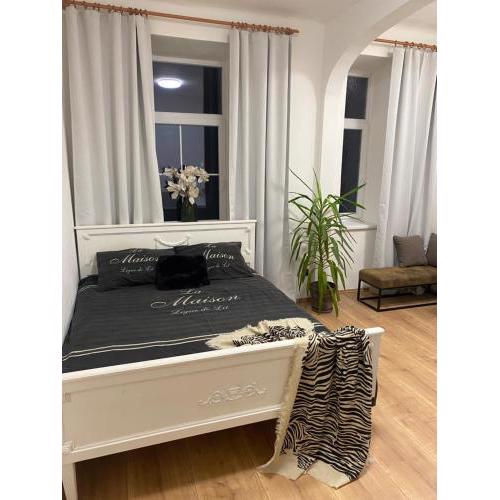 Apartmán Tržnice