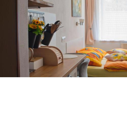 Apartmán U dvou slunečnic