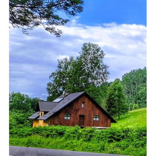 Apartmán u Ještěrky se saunou v ceně, Rejvízská 29, Jeseník