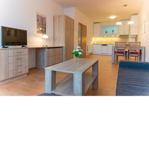Apartmán U Lázní D22
