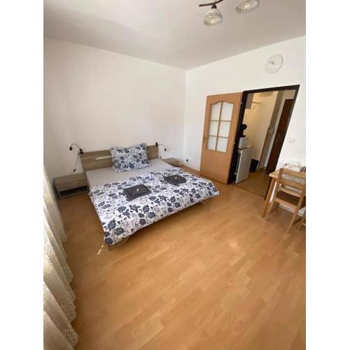 Apartmán U Mendláku