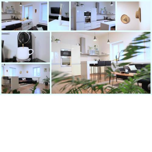 Apartmán U Parku