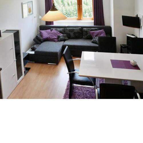 Apartmán U Sjezdovky