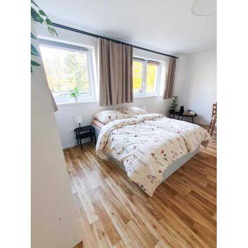 Apartmán U sklepů