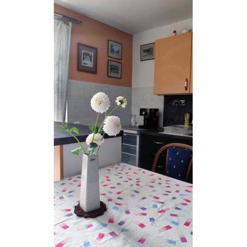 Apartmán Úlehla