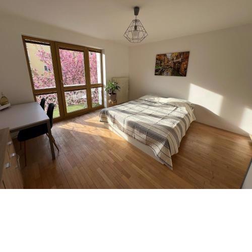 Apartmán v centre
