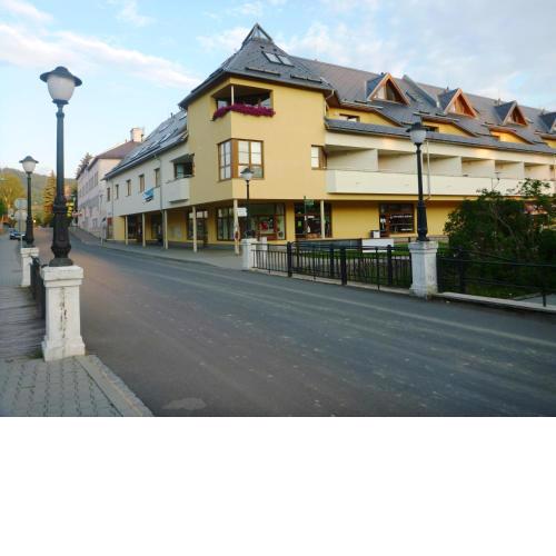 Apartmán Velké Losiny