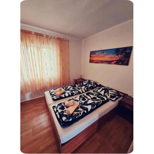 Apartman Viki