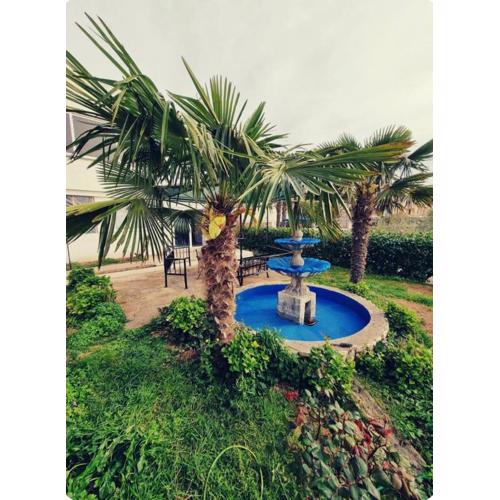 Apartman Viki