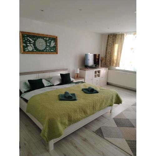 Apartmán Viky